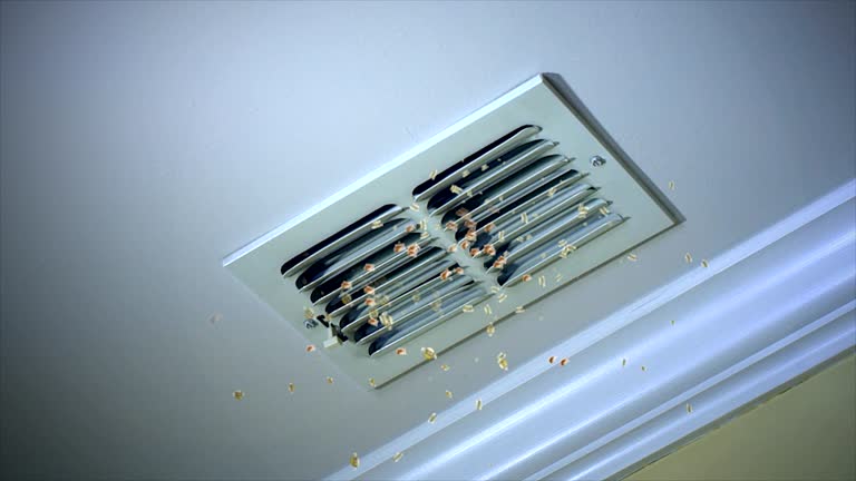 Best Local Air Duct Cleaning Services  in West Dundee, IL