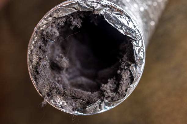 Best Air Duct Cleaning Near Me  in West Dundee, IL