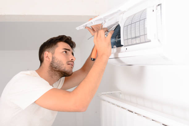 Air Duct Mold Removal in West Dundee, IL